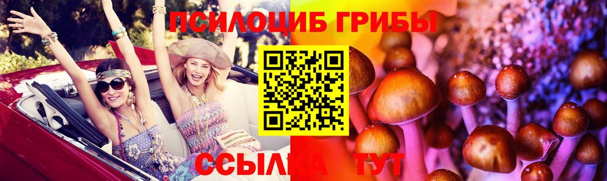 Гусиноозёрск  Галлюциногенные грибы прущие грибы  Вход с VPN  Галлюциногенные грибы Cubensis 